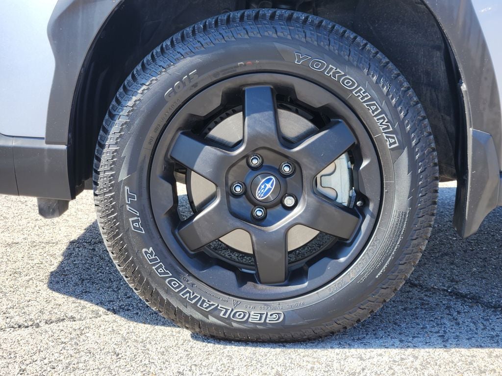 2025 Subaru Outback Wilderness